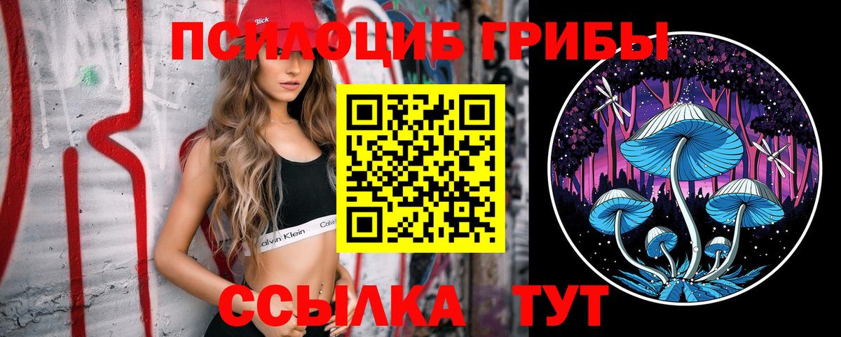 Галлюциногенные грибы GOLDEN TEACHER  Вход с VPN  Борзя  Псилоцибиновые грибы MAGIC MUSHROOMS 