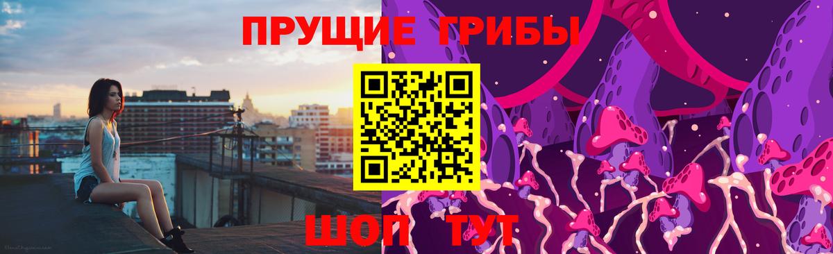 Псилоцибиновые грибы GOLDEN TEACHER Борзя