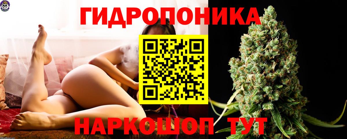 Шишки марихуана гибрид Борзя